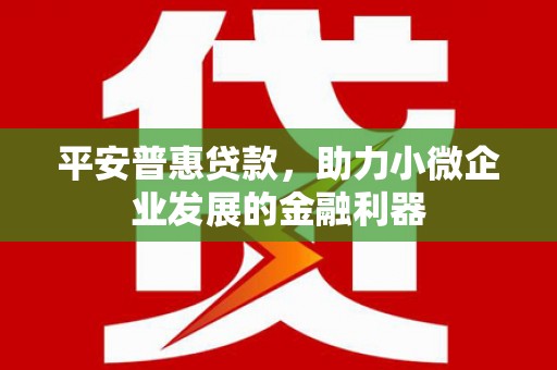 康保平安普惠贷款，助力小微企业发展的金融利器