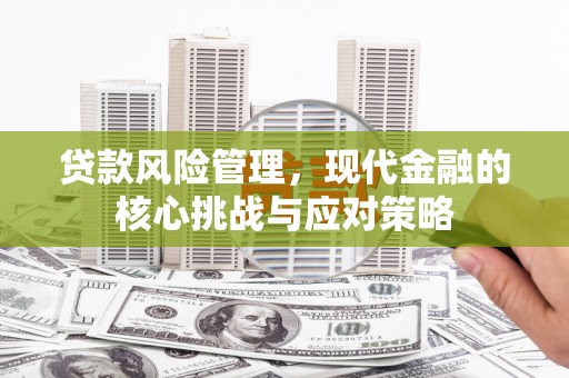 康保贷款风险管理，现代金融的核心挑战与应对策略