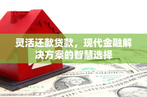 康保灵活还款贷款，现代金融解决方案的智慧选择