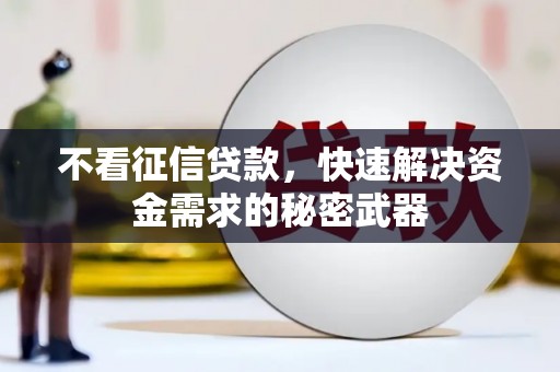 康保不看征信贷款，快速解决资金需求的秘密武器