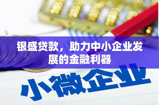 康保银盛贷款，助力中小企业发展的金融利器