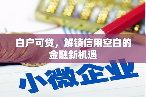 康保白户可贷，解锁信用空白的金融新机遇