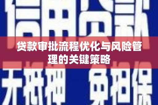 康保贷款审批流程优化与风险管理的关键策略