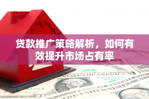 康保贷款推广策略解析，如何有效提升市场占有率