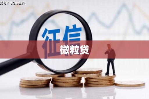 康保微粒贷