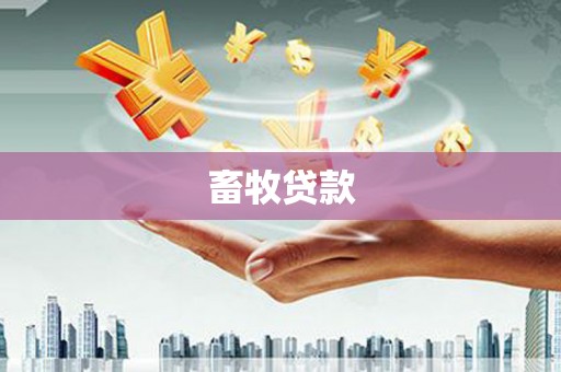 康保畜牧贷款