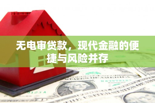 康保无电审贷款，现代金融的便捷与风险并存