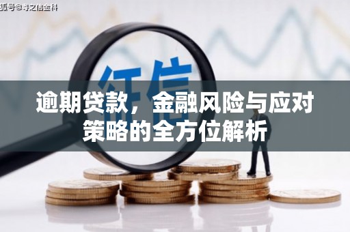 康保逾期贷款，金融风险与应对策略的全方位解析