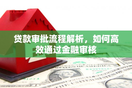 康保贷款审批流程解析，如何高效通过金融审核