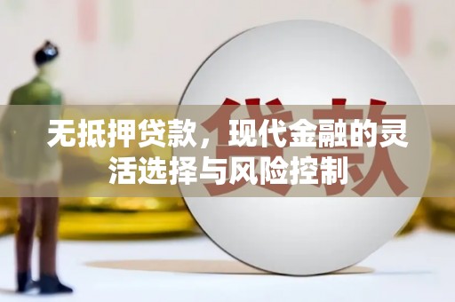 康保无抵押贷款，现代金融的灵活选择与风险控制