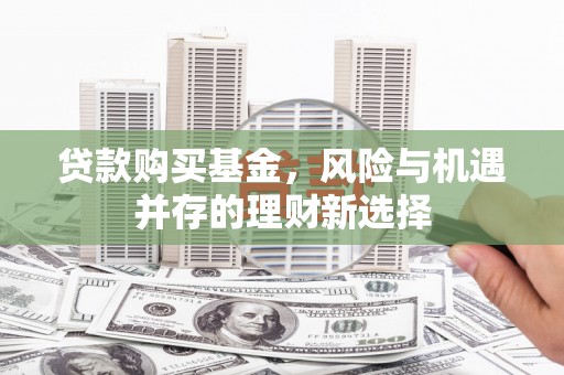 康保贷款购买基金，风险与机遇并存的理财新选择