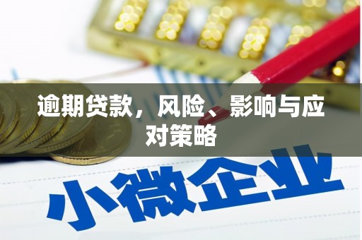 康保逾期贷款，风险、影响与应对策略