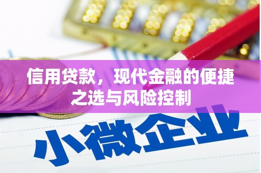 康保信用贷款，现代金融的便捷之选与风险控制