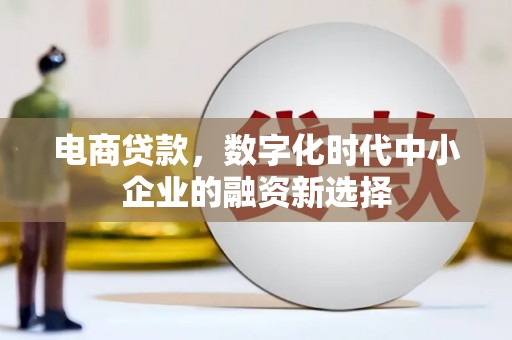 康保电商贷款，数字化时代中小企业的融资新选择