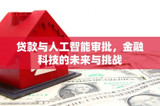 康保贷款与人工智能审批，金融科技的未来与挑战