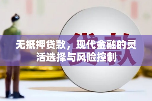 康保无抵押贷款，现代金融的灵活选择与风险控制