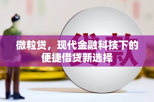 康保微粒贷，现代金融科技下的便捷借贷新选择