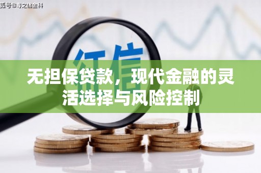 康保无担保贷款，现代金融的灵活选择与风险控制