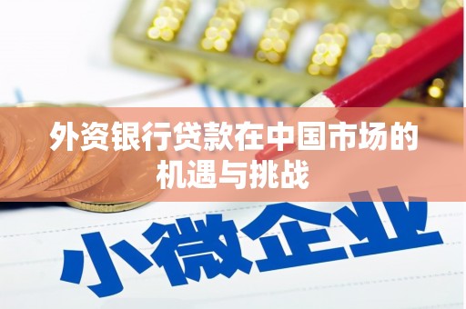 康保外资银行贷款在中国市场的机遇与挑战