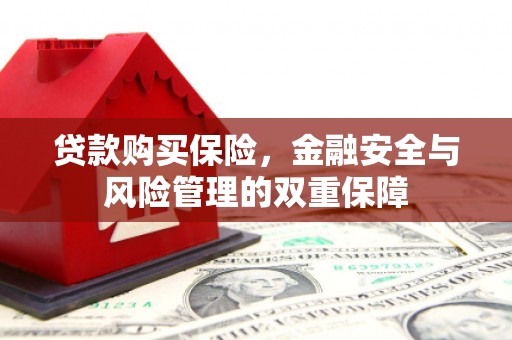 康保贷款购买保险，金融安全与风险管理的双重保障