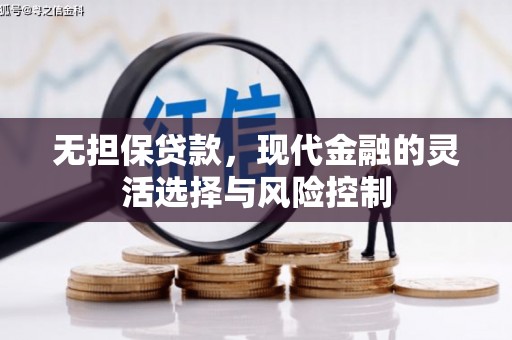 康保无担保贷款，现代金融的灵活选择与风险控制