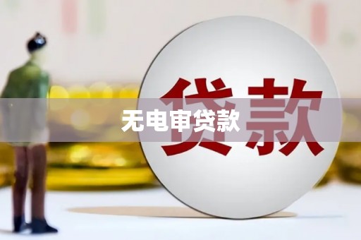 康保无电审贷款
