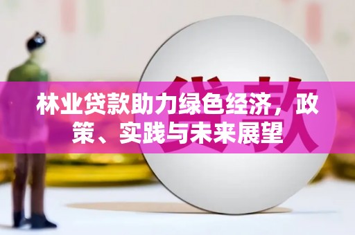 康保林业贷款助力绿色经济，政策、实践与未来展望