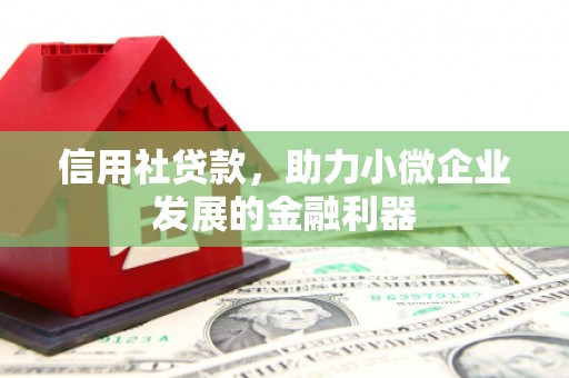 康保信用社贷款，助力小微企业发展的金融利器