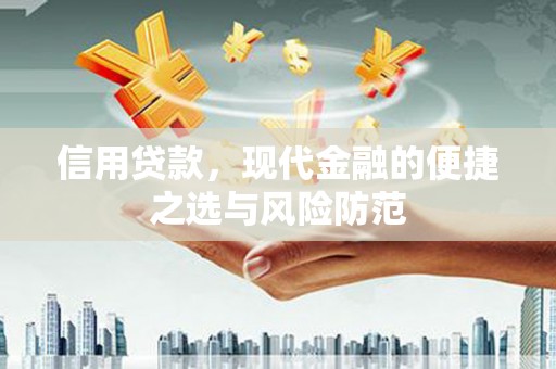 康保信用贷款，现代金融的便捷之选与风险防范
