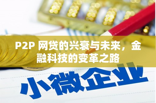 康保P2P 网贷的兴衰与未来，金融科技的变革之路