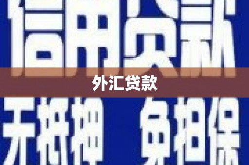 康保外汇贷款