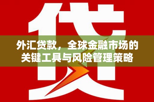 康保外汇贷款，全球金融市场的关键工具与风险管理策略