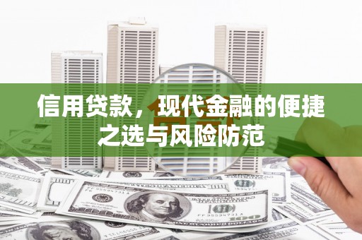 康保信用贷款，现代金融的便捷之选与风险防范