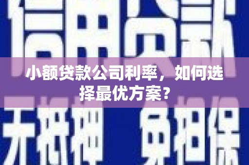 康保小额贷款公司利率，如何选择最优方案？