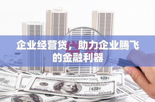 康保企业经营贷，助力企业腾飞的金融利器