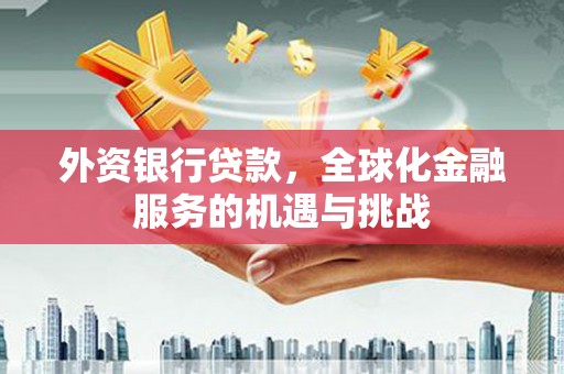 康保外资银行贷款，全球化金融服务的机遇与挑战