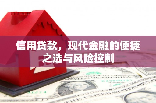 康保信用贷款，现代金融的便捷之选与风险控制
