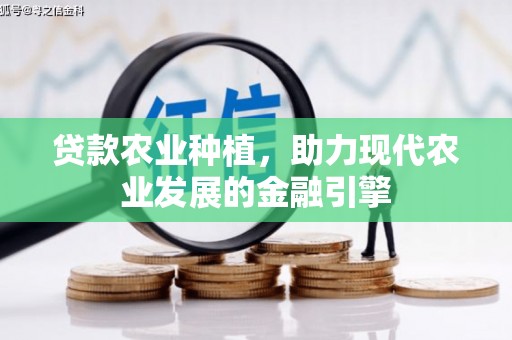 康保贷款农业种植，助力现代农业发展的金融引擎