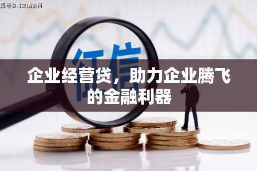 康保企业经营贷，助力企业腾飞的金融利器