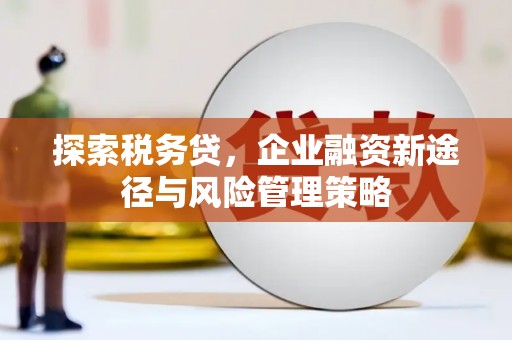 康保探索税务贷，企业融资新途径与风险管理策略