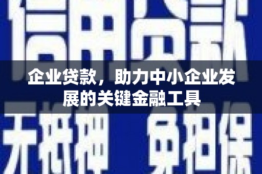 康保企业贷款，助力中小企业发展的关键金融工具