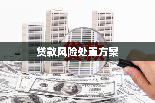 康保贷款风险处置方案