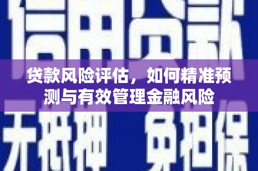 康保贷款风险评估，如何精准预测与有效管理金融风险