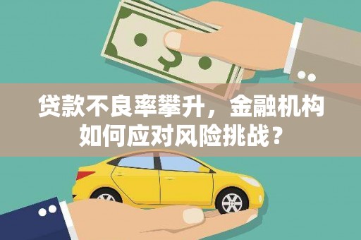 康保贷款不良率攀升，金融机构如何应对风险挑战？