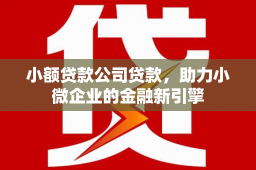 康保小额贷款公司贷款，助力小微企业的金融新引擎