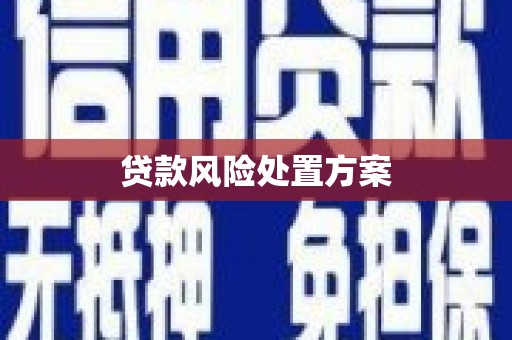 康保贷款风险处置方案