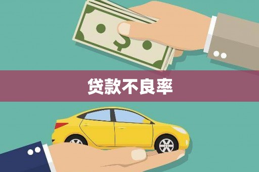 康保贷款不良率