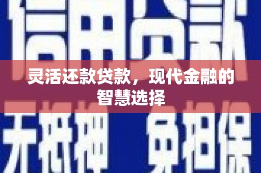 康保灵活还款贷款，现代金融的智慧选择