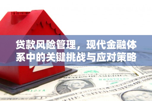 康保贷款风险管理，现代金融体系中的关键挑战与应对策略