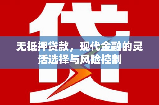 康保无抵押贷款，现代金融的灵活选择与风险控制